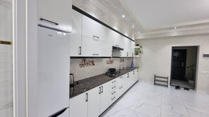 Kitchen features a stove, sink, and range hood, with a plant on the countertop and a door to another room.