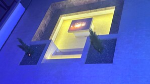 Ein modernes Gebäude mit geometrischer Gestaltung, mit einem zentralen, beleuchteten Bereich und zwei kleinen Pflanzgefäßen mit Sträuchern.