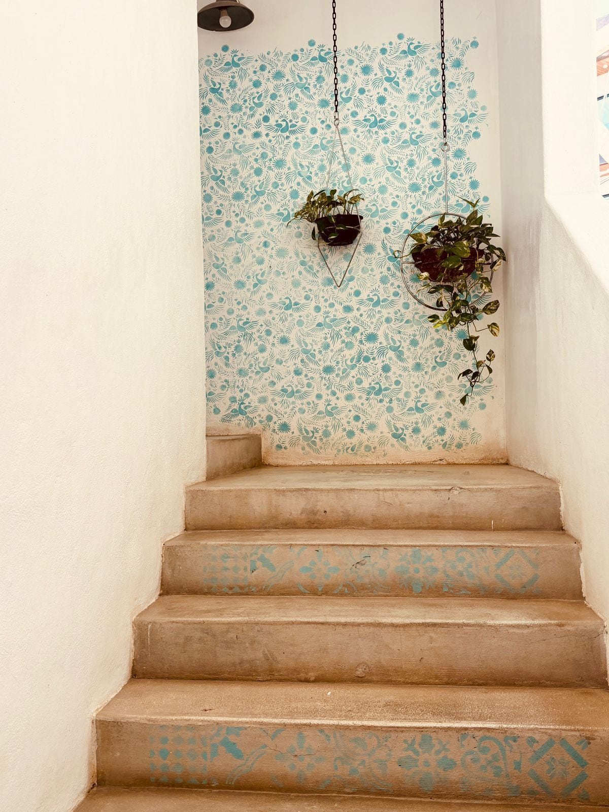 Foto - Hotel El Capitan