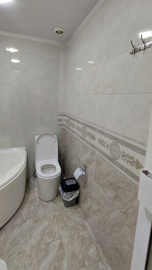 Sèche-cheveux, papier toilette