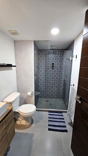 Suite estudio ejecutiva, vistas a la ciudad | Baño | Ducha, cabezal de ducha tipo lluvia, secador de pelo y toallas