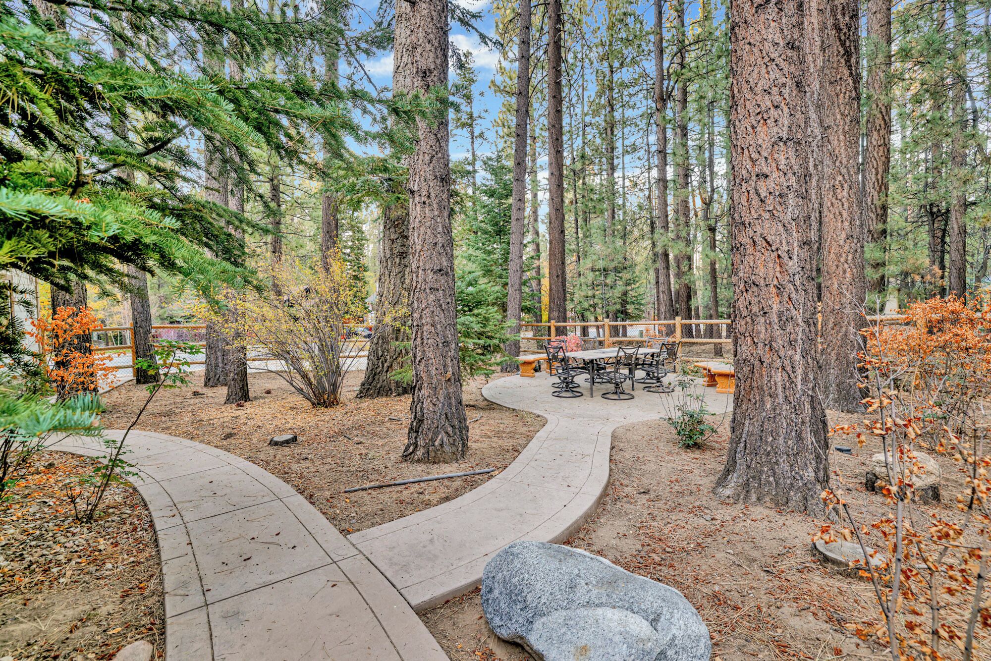 A forested area with a paved walkway, a picnic table, and benches.
