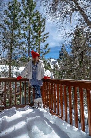 Property grounds - Chipmunk Treehouse #1983 (Big Bear Lake)