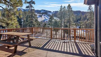 Cabin, Multiple Beds, Patio, Mountain View (2235) | View from room