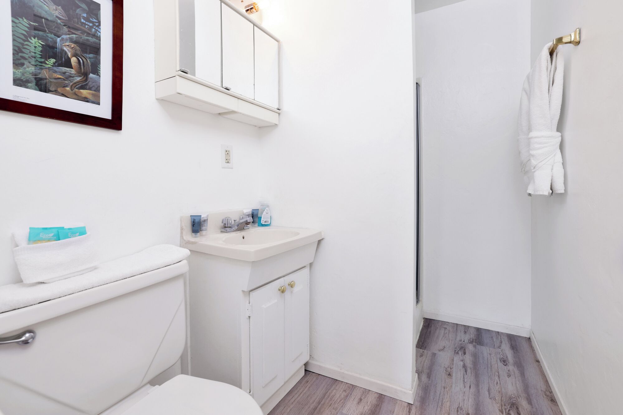 Een badkamer met toilet, wastafel en douche. Er hangt een lijstje aan de muur en een handdoek aan de douchedeur.