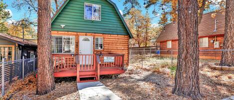 A small, green wooden cabin with a porch and a white door, surrounded by trees and a clear sky.