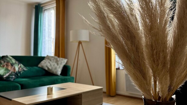 Een moderne woonkamer met een groene bank, een houten bijzettafeltje en een vaas met pluizige grasstelen.