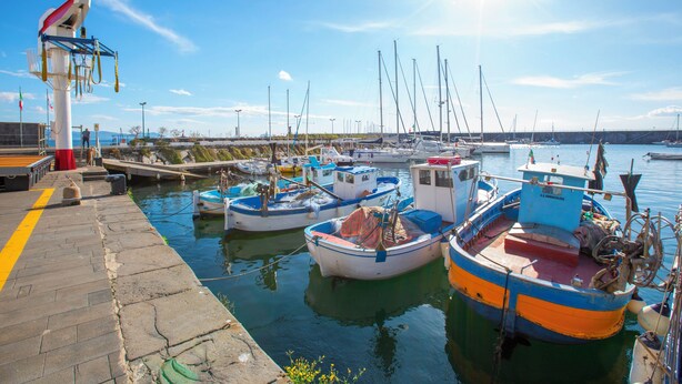 Un puerto deportivo con varias embarcaciones amarradas al muelle.