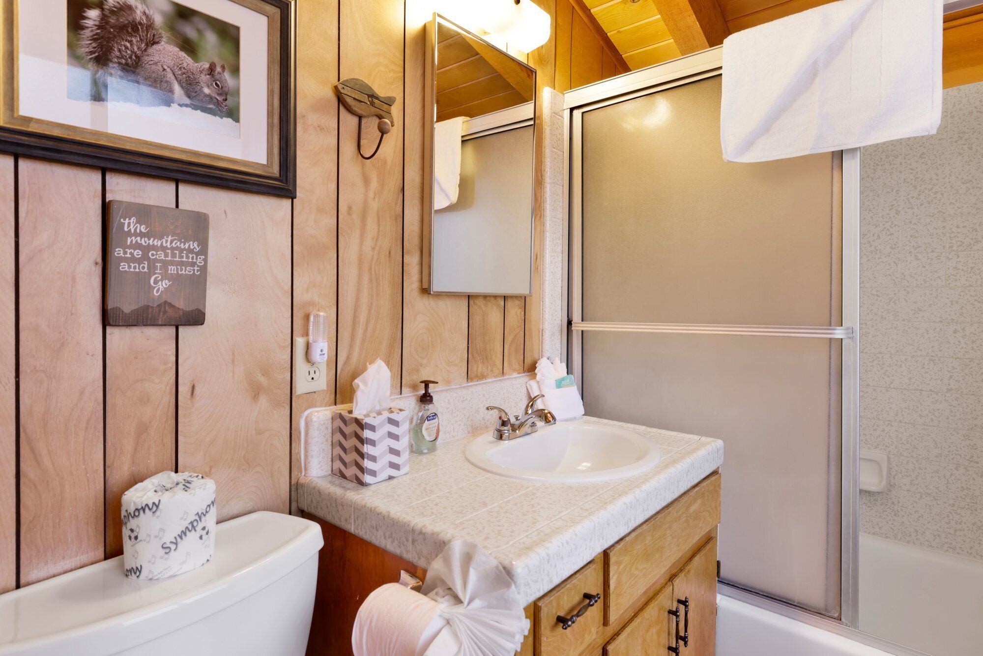 Een badkamer met houten lambrisering, een lijst met een afbeelding van een eekhoorn, een spiegel, een wastafel, een toilet en een douche.