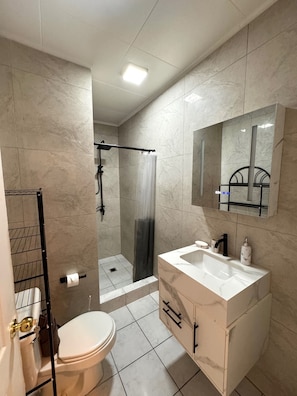 Shower, hair dryer, towels
