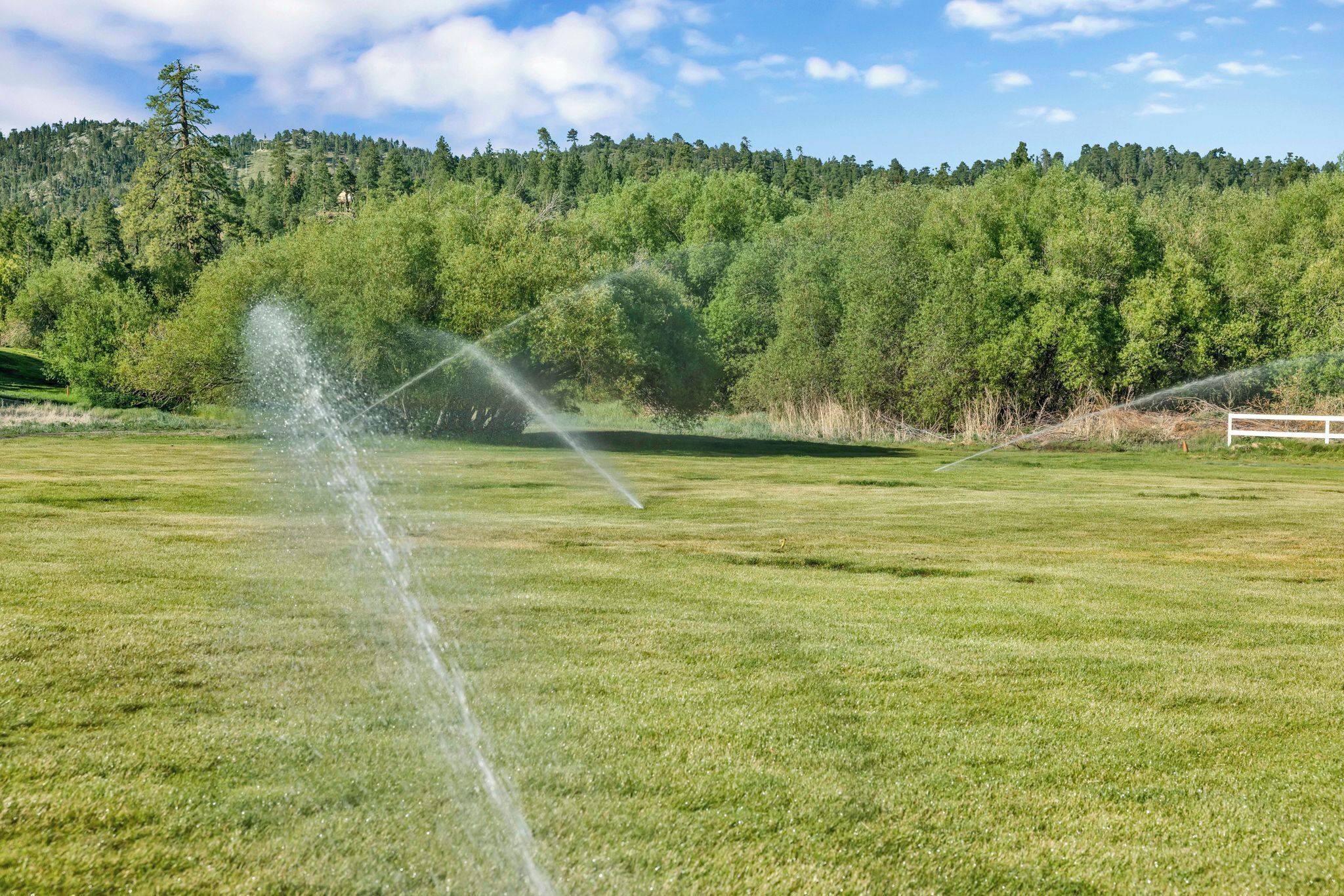 A grassy field with a sprinkler system.