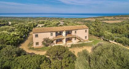 Stazzi di Gallura Giagumeddu is a small village in the green heart of Badesi, a locality in the north of Sardinia overlooking the Gulf of Asinara and surrounded by the hills of Gallura. Immersed in the Parco Naturalistico SIC Foci del Coghinas nature par