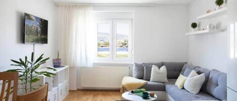 Fernseher