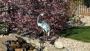 Una estatua de pájaro cerca de un estanque con rocas y un árbol con flores rosadas.