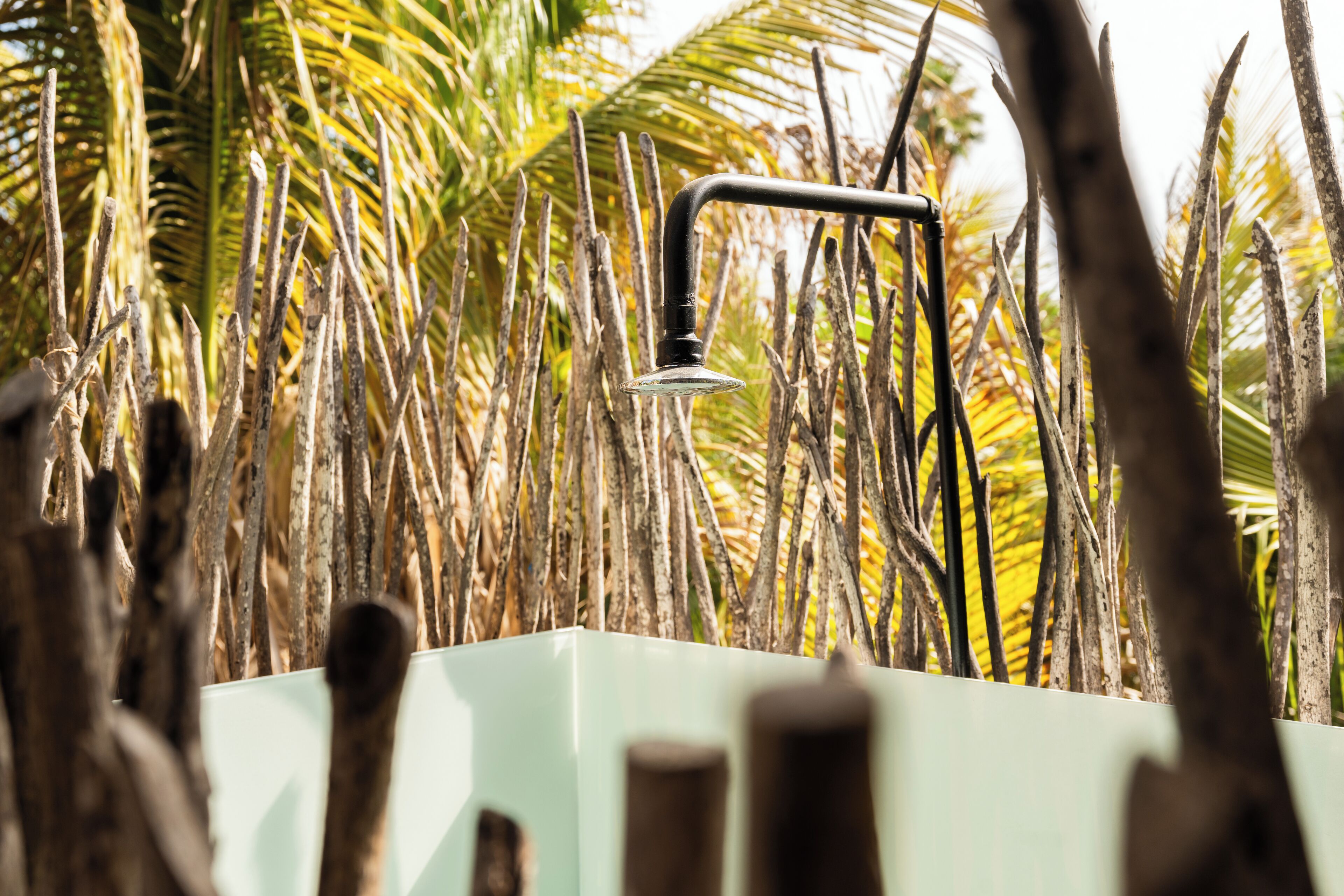 A modern outdoor shower with a black faucet and clear showerhead, surrounded by tall, dry palm fronds.