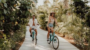 Deux personnes font du vélo sur un chemin pavé, entourées d’une végétation luxuriante.