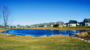 A residential area with houses and a large swimming pool.