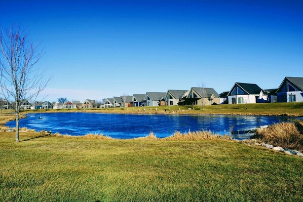A residential area with houses and a large swimming pool.