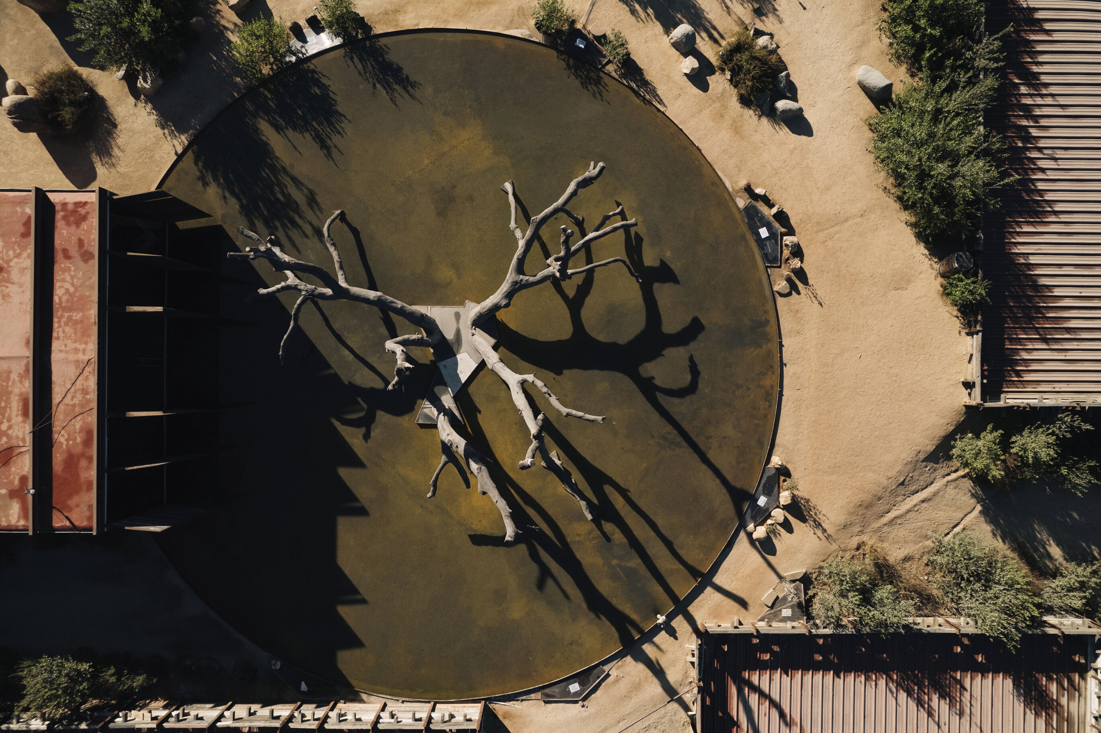 Vista aérea de una estructura circular con un diseño parecido a un árbol en el centro, rodeada por una zona arenosa con rocas y vegetación escasa.