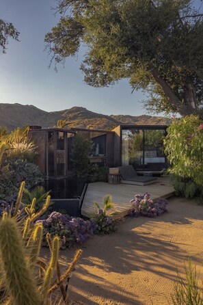 A modern outdoor living area with a glass enclosure, a wooden deck, and a variety of plants.