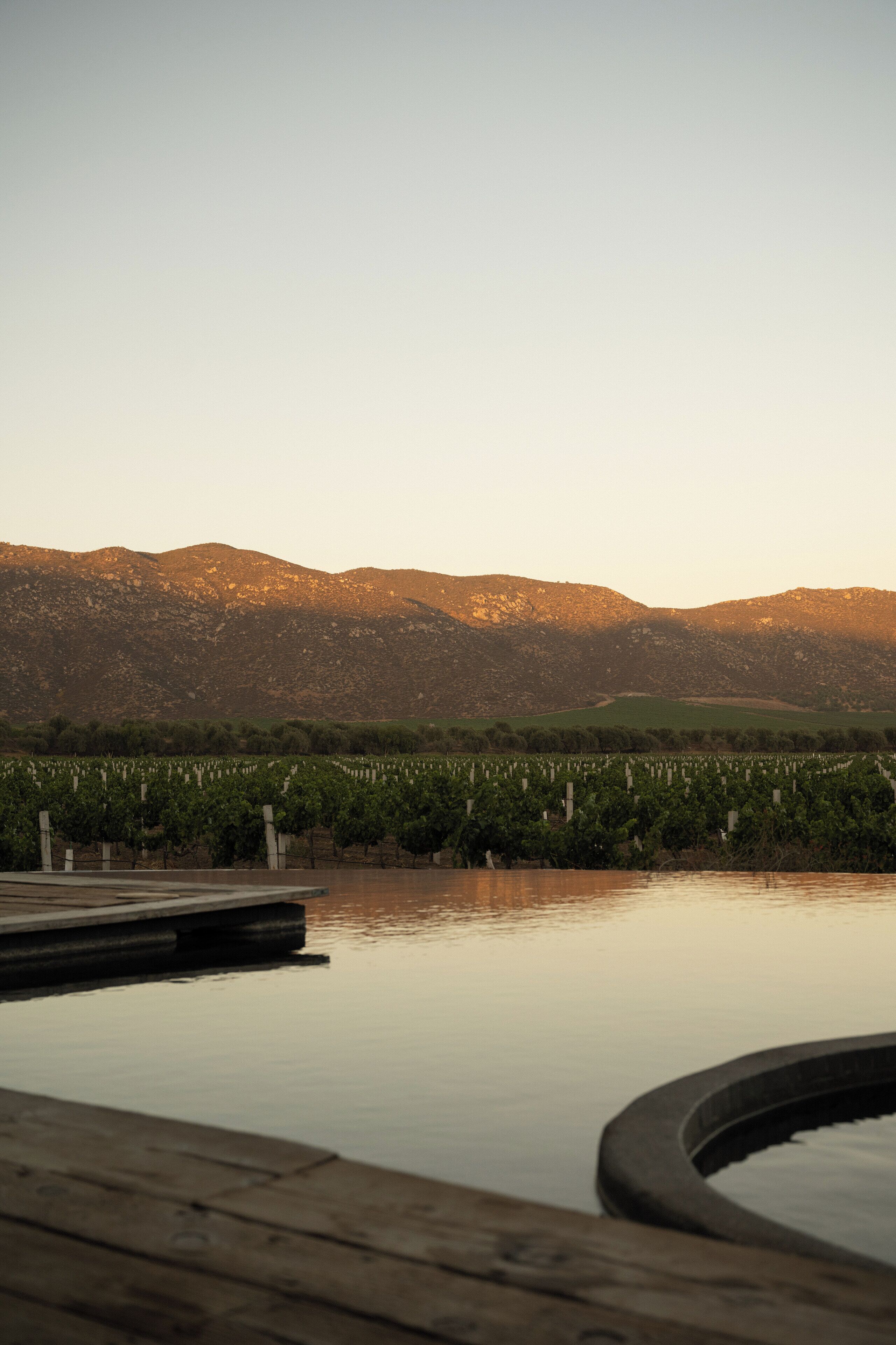 A wooden deck overlooking a calm body of water with a vineyard and mountains in the background.