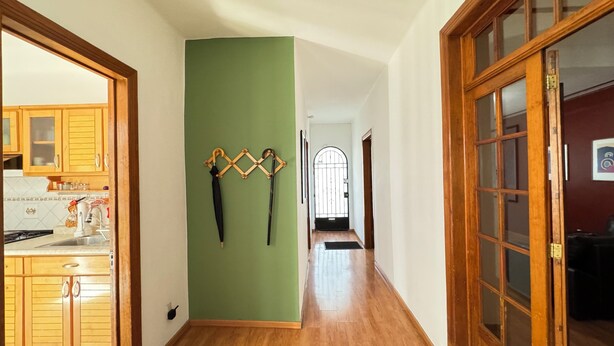 Un pasillo con suelo de madera, una pared de acento verde y puertas de madera.