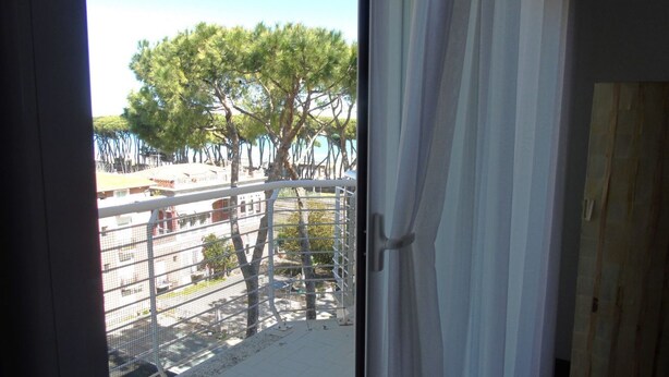 Vista dalla finestra, con una recinzione in metallo e alberi sullo sfondo.