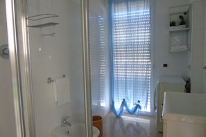 Shower, hair dryer, bidet, towels