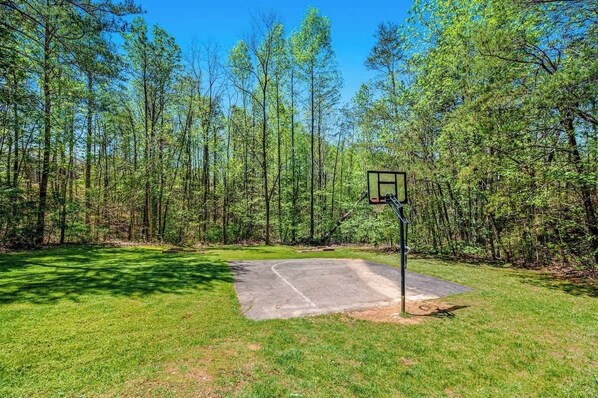 An outdoor basketball court surrounded by a forest.