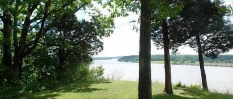 A grassy area with trees and a lake in the background.