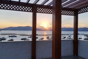Ảnh chưa phân loại, 5 trong số 43 ảnh, nút