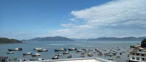 Pemandangan dari hartanah