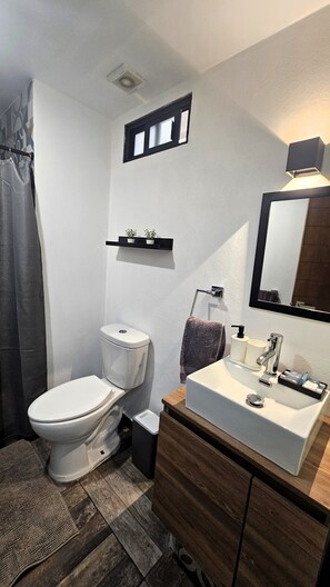 シャワー、ヘアドライヤー、タオル