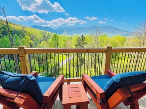 Property grounds - Tyme to Chill: Free Attraction Tickets, Mountain Views, Hot Tub, Pool Table & In Wears Valley (Sevierville)