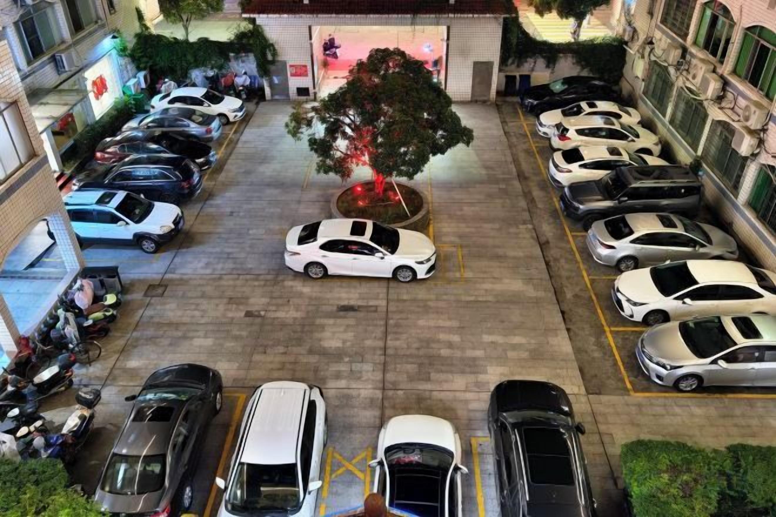 A parking lot with multiple cars and a tree in the center.