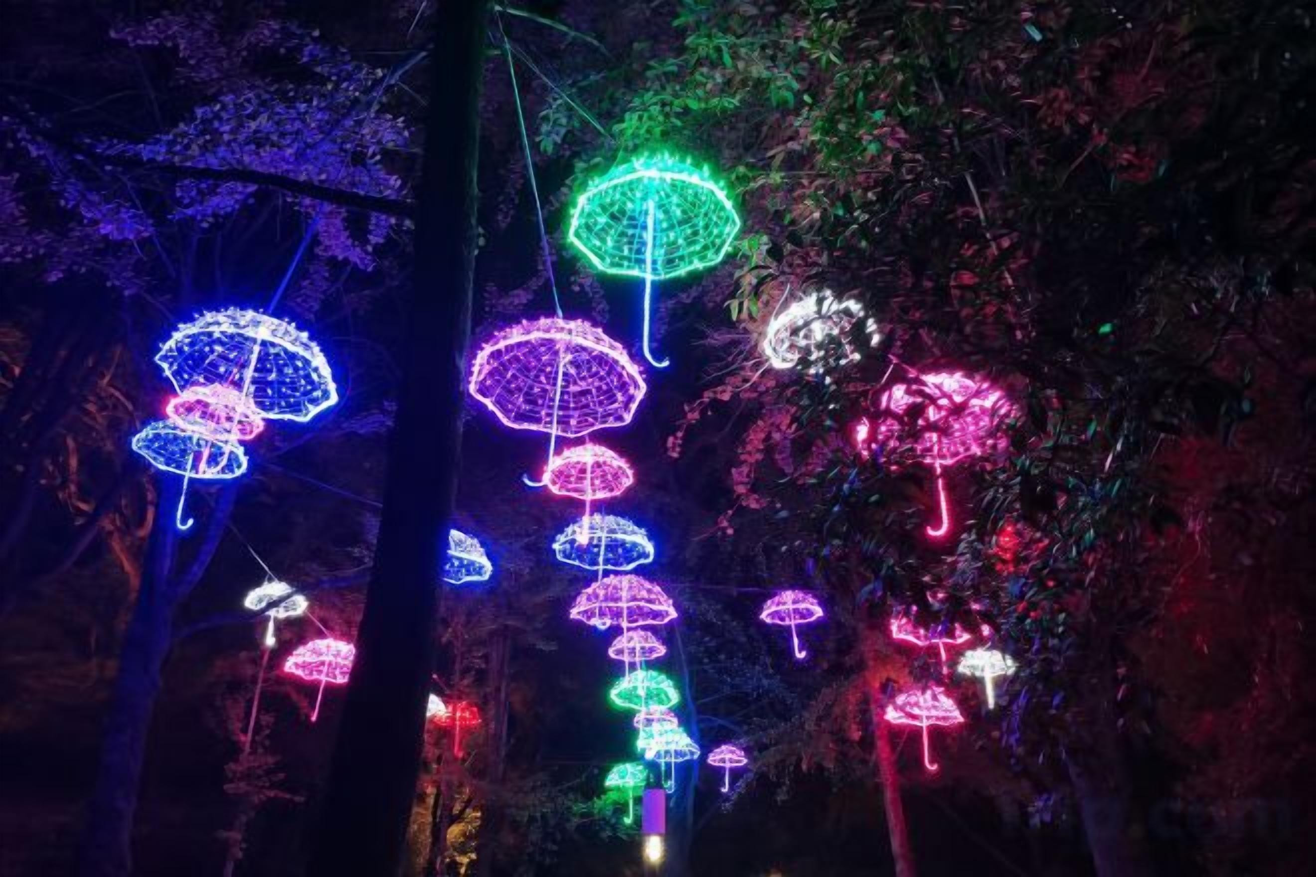 Une série de parapluies illuminés suspendus aux arbres.