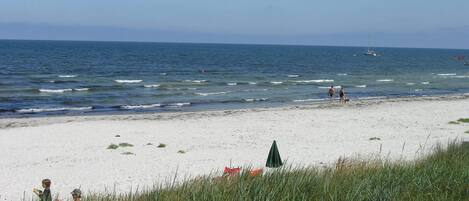 Beach nearby, fishing