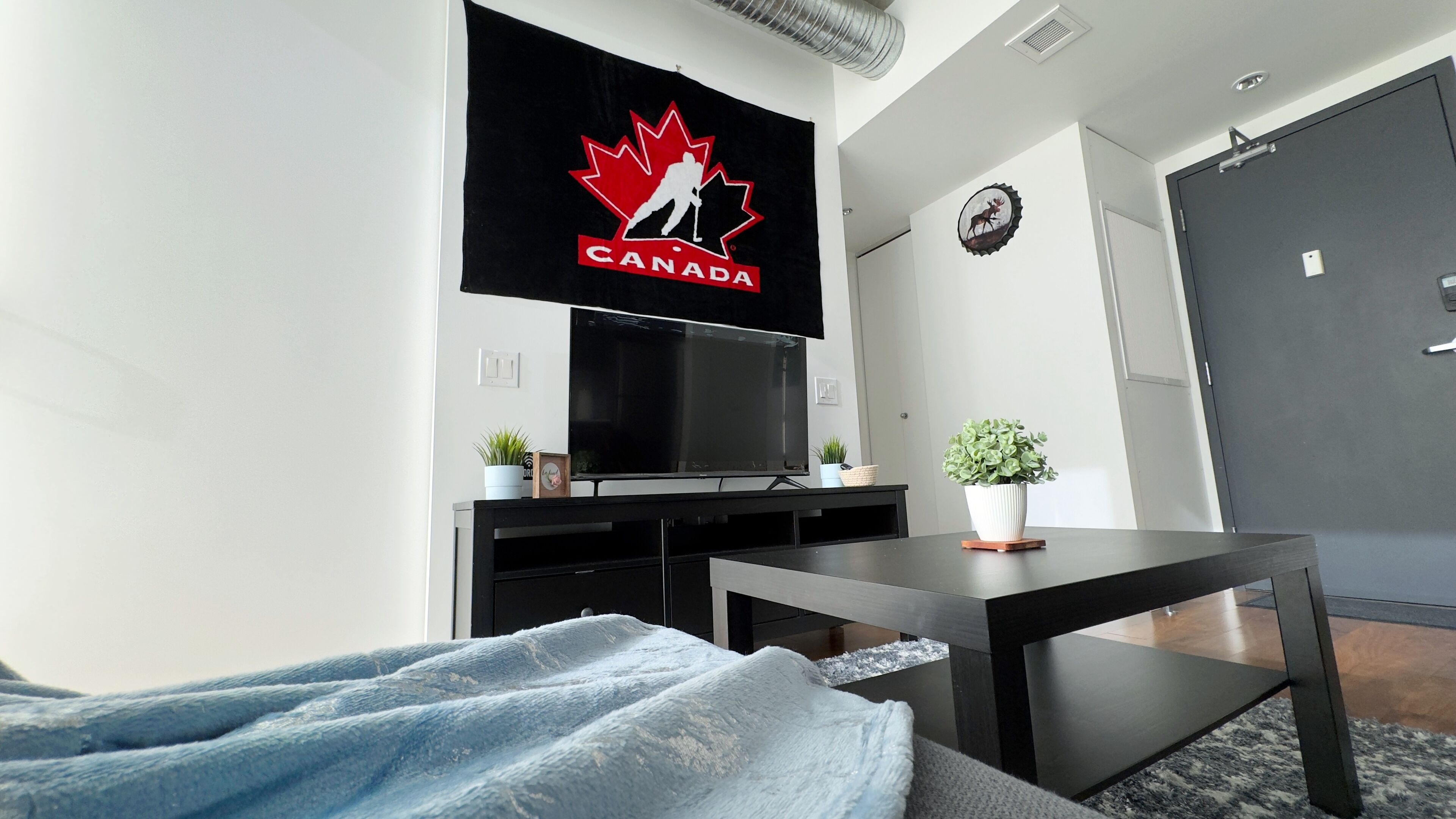 A modern living room with a mounted TV, a small table, a sofa, and a potted plant.