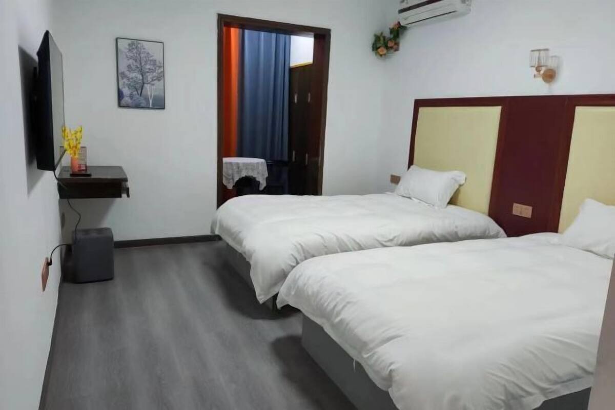 Habitación de hotel con dos camas, televisión, una mesita con un florero y un cuadro en la pared.