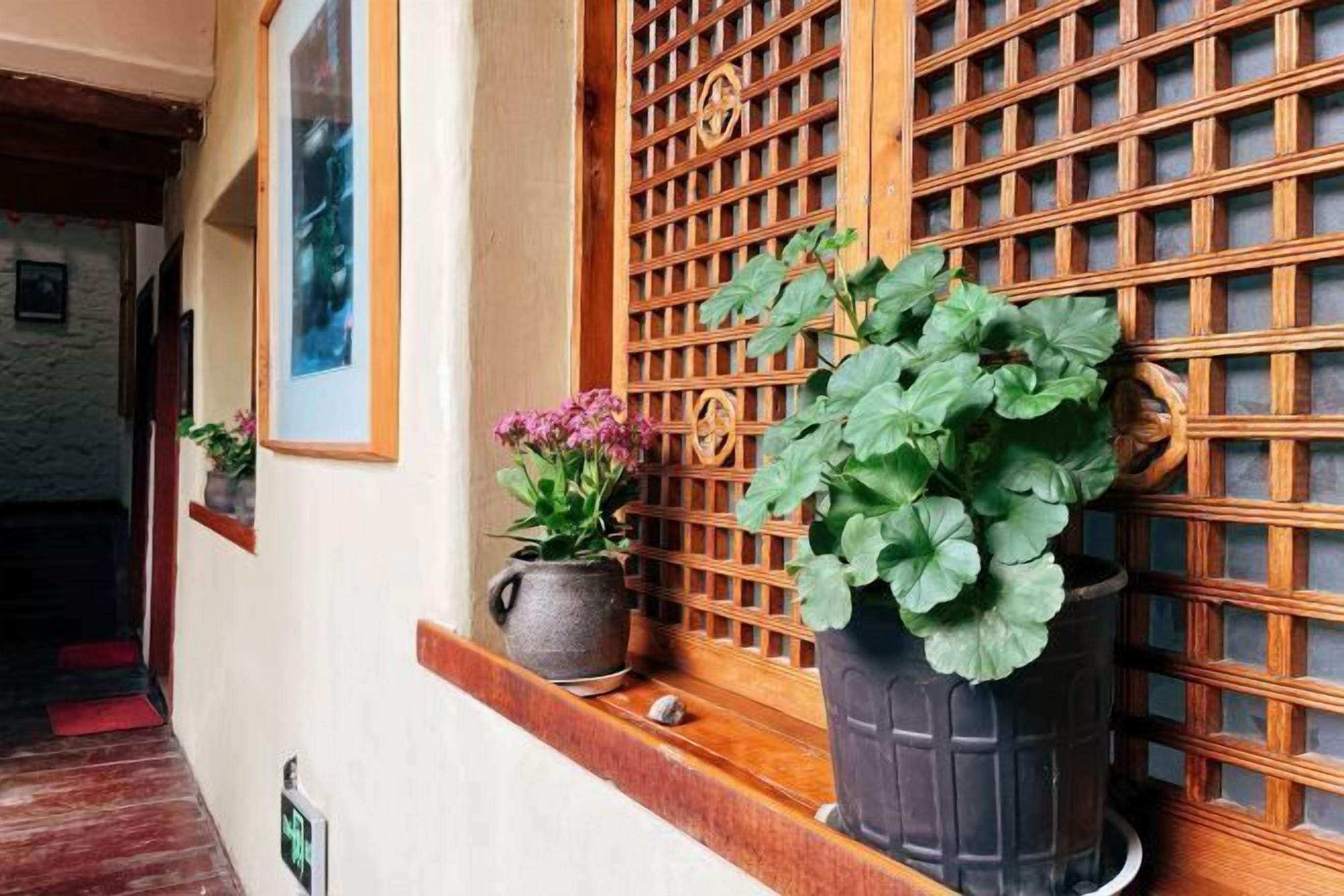 Een hal met een houten lattenwand, potplanten en een ingelijste foto aan de muur.