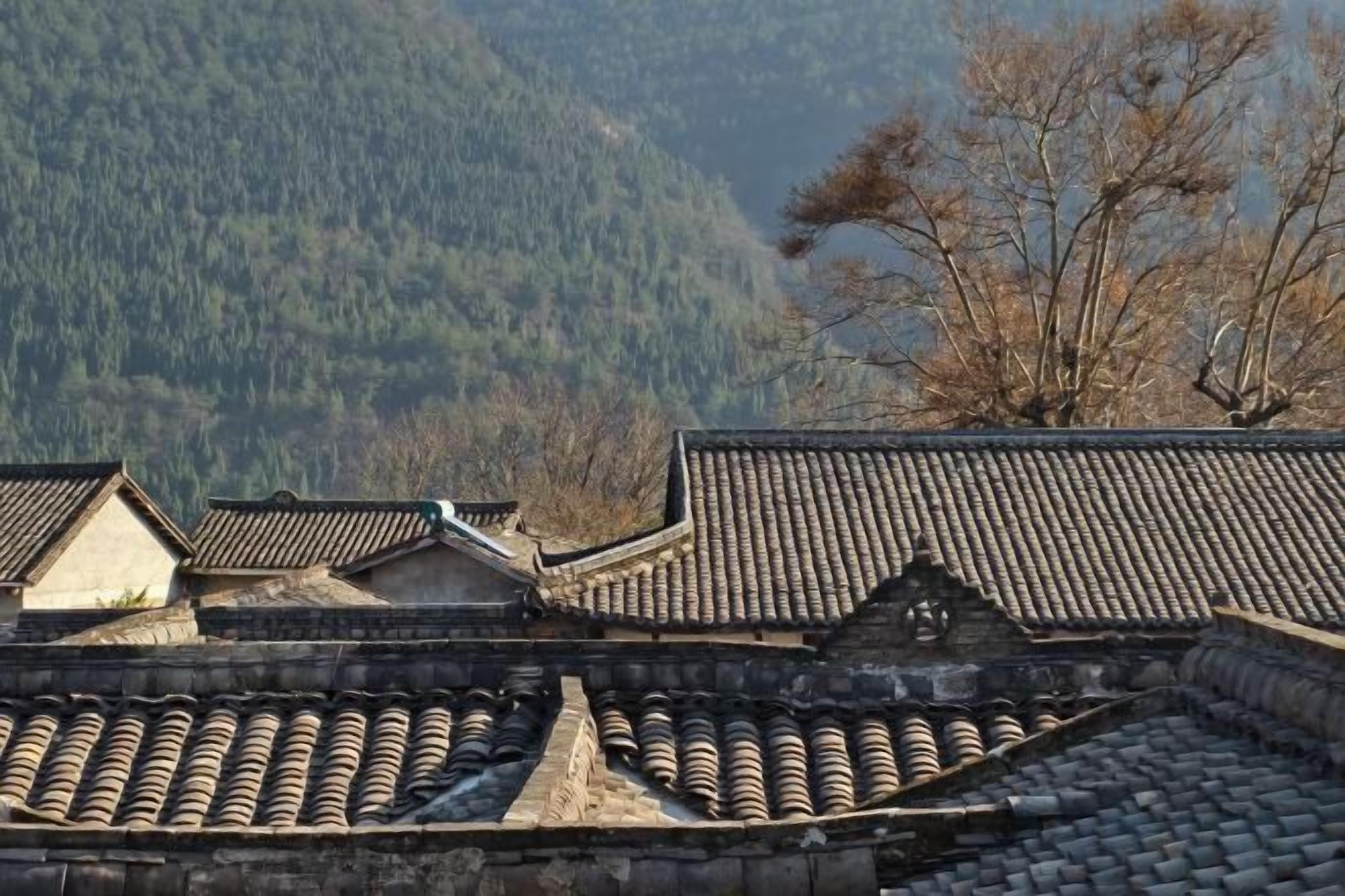 Traditional tiled roofs and stone walls, likely part of a historical building or temple.