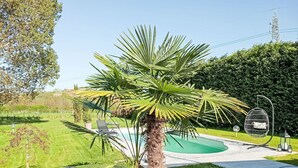 A pool area with a palm tree, a hanging chair, and a well-maintained lawn. - Apartment Giada by Interhome (Castell' Alfero)