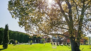 A well-maintained lawn with a large tree and a building in the background. - Apartment Giada by Interhome (Castell' Alfero)