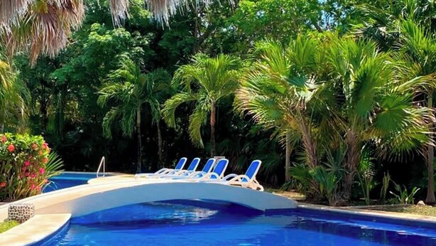 Una piscina con agua azul, rodeada de palmeras y follaje.
