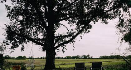 1 Bed Tiny House Sleeps 2 -Hot Tub -Coal Fireplace