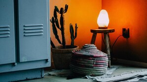 A room with a cactus, a woven stool, and a glowing light fixture. - 1 Bed Tiny House Sleeps 2 -Hot Tub -Coal Fireplace (Liglet)