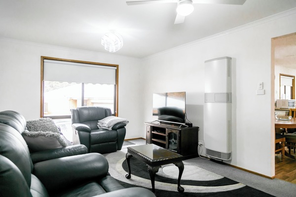 Smart TV, DVD player, books, video library