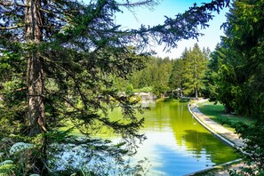 Property grounds - Forest Princess Chalet, Bloke, Slovenia (Bloke)