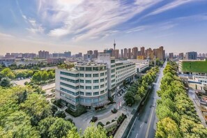 Un edificio moderno con fachada curva, rodeado de vegetación y un cielo despejado.