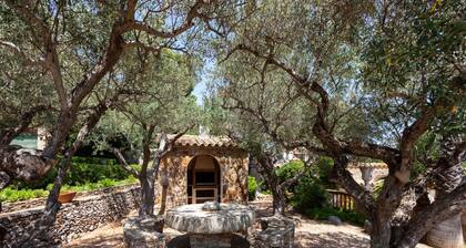 Les Oliveres by Interhome